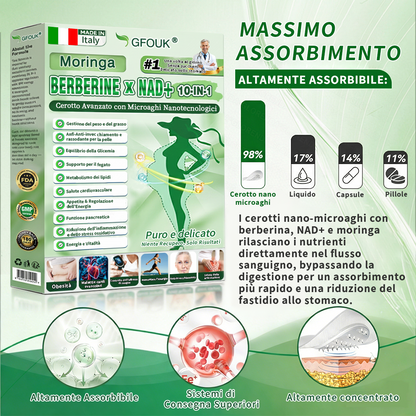 👩‍⚕️ Store Ufficiale |👨‍⚕️🌈GFOUK® Moringa · Berberina × NAD+ Cerotto avanzato 10-in-1 con microneedle nano  🕒 Solo una volta al giorno ✨ Cambiamenti visibili già in 7 giorni
