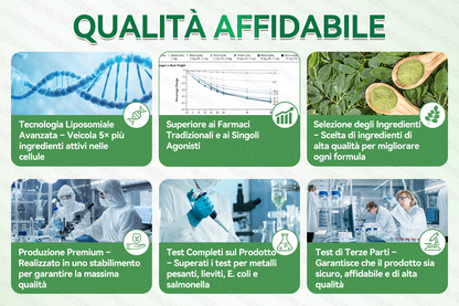👩‍⚕️ Store Ufficiale |👨‍⚕️🌈GFOUK® Moringa · Berberina × NAD+ Cerotto avanzato 10-in-1 con microneedle nano  🕒 Solo una volta al giorno ✨ Cambiamenti visibili già in 7 giorni